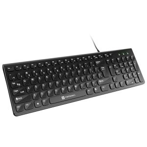 Portronics Ki-Pad 2 USB Wired Keyboard with 104 Keys/ Dual Color Chicklet Keys/ Rupee Symbol (?) Key/ Noiseless Typing/ 1.5 m Long Cable/ 10 Million Keystrokes Long Life for PC/ Laptop & USB-Supported Devices (Black)