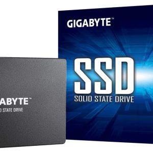 Gigabyte 1TB SATA III SSD (GP-GSTFS31100TNTD)